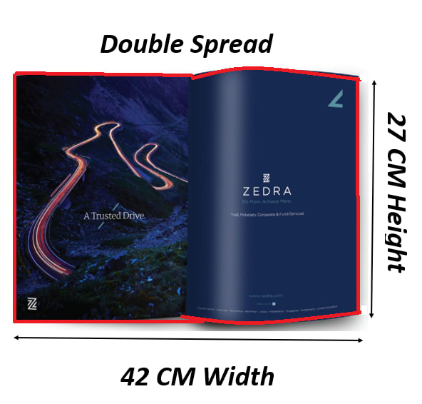Double Spread Premium Media Advertising in CEO Insights Magazine The Media Ant